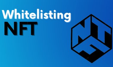 Everything You Should Know About NFT Whitelisting