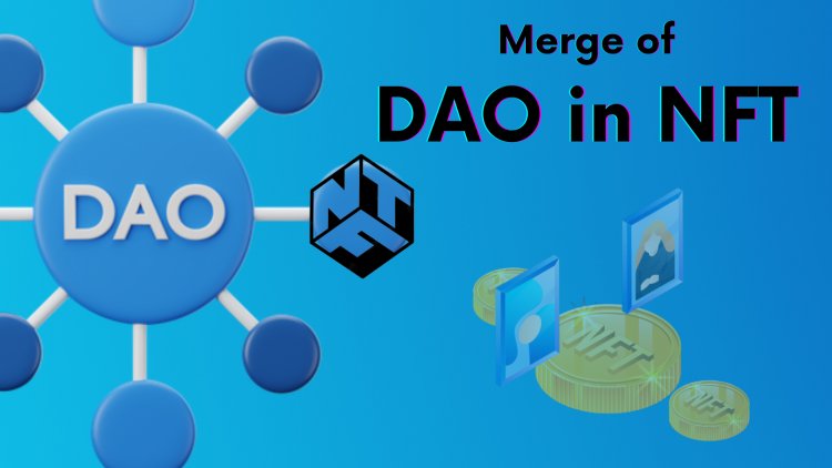 The Merge Of Decentralized Autonomous Organizations (DAOs) Into NFTs