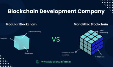The Pros And Cons Of Monolithic And Modular Blockchains