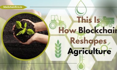 Promising Use Cases Showing The Impact Of Blockchain In the Agriculture Sector
