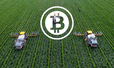 How To Use Blockchain Technology In Agriculture?